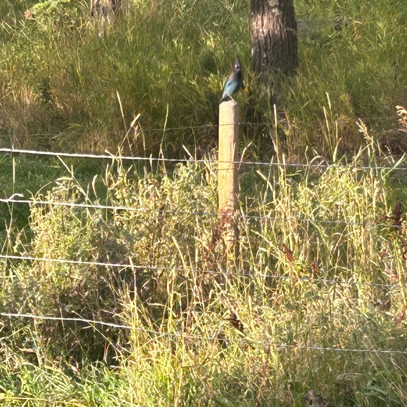 Meet your Posher, - Picture 1 of 1